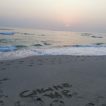 Caline Vip Apartments, Beach Close Блуберґстранд Екстер'єр фото