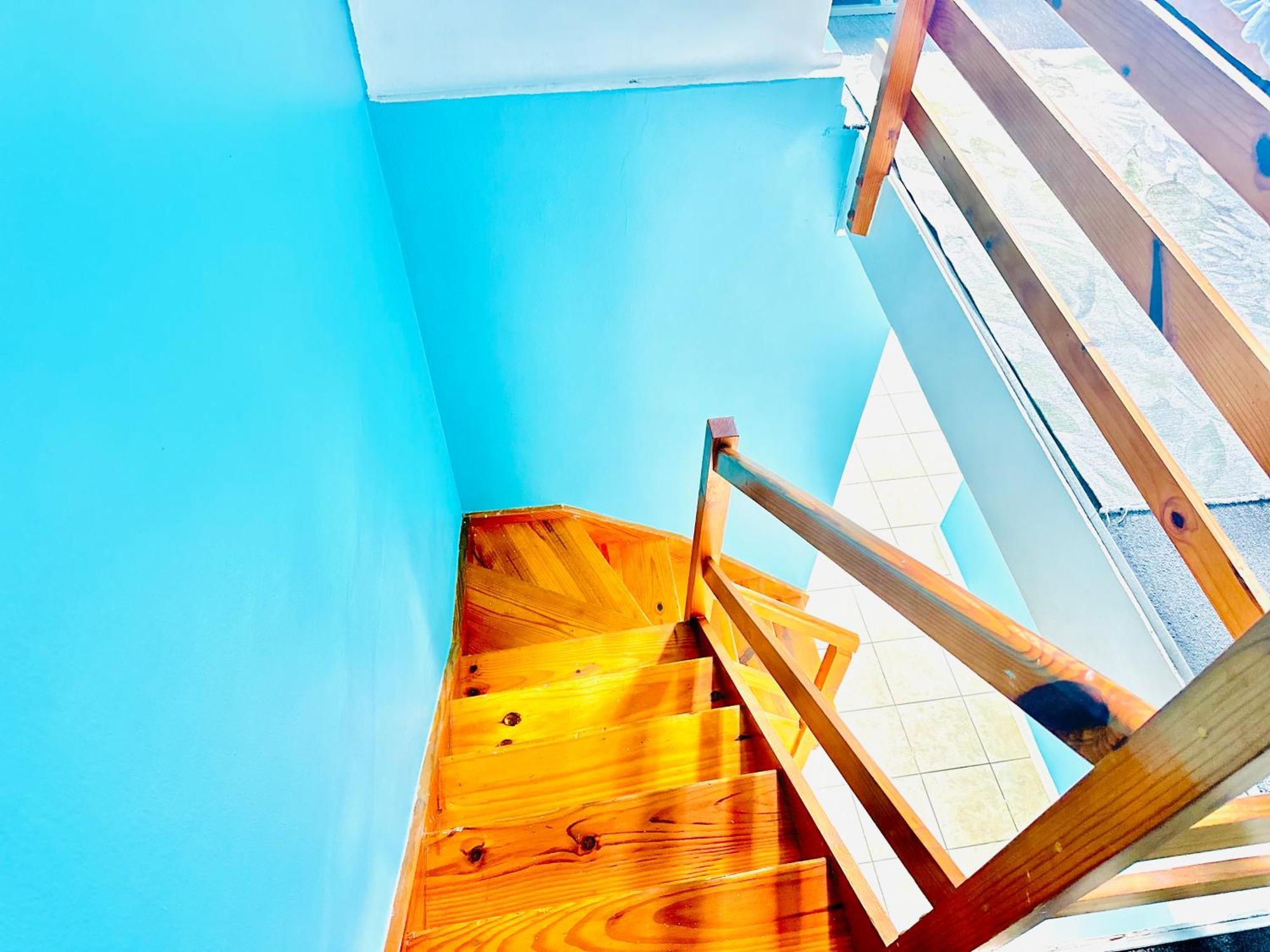 Caline Vip Apartments, Beach Close Блуберґстранд Екстер'єр фото